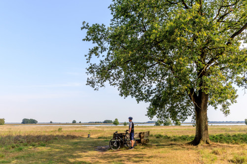 Vakantiepark RCN de Noordster in Dwingeloo, Drenthe