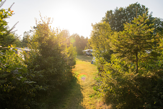 Vakantiepark Friesland met zwembad midden in de natuur