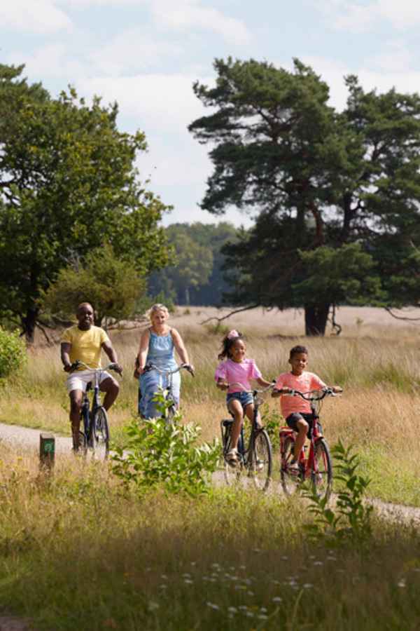 Camping en Bungalowpark in Drenthe, Dwingeloo